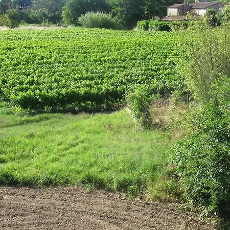Route De Nimes